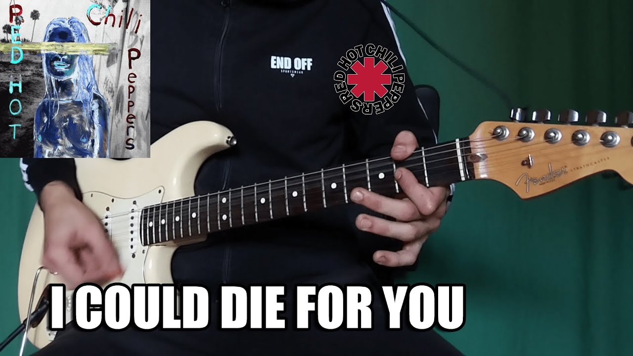 Red Hot Chili Peppers - I Could Die For You | Guitar Cover