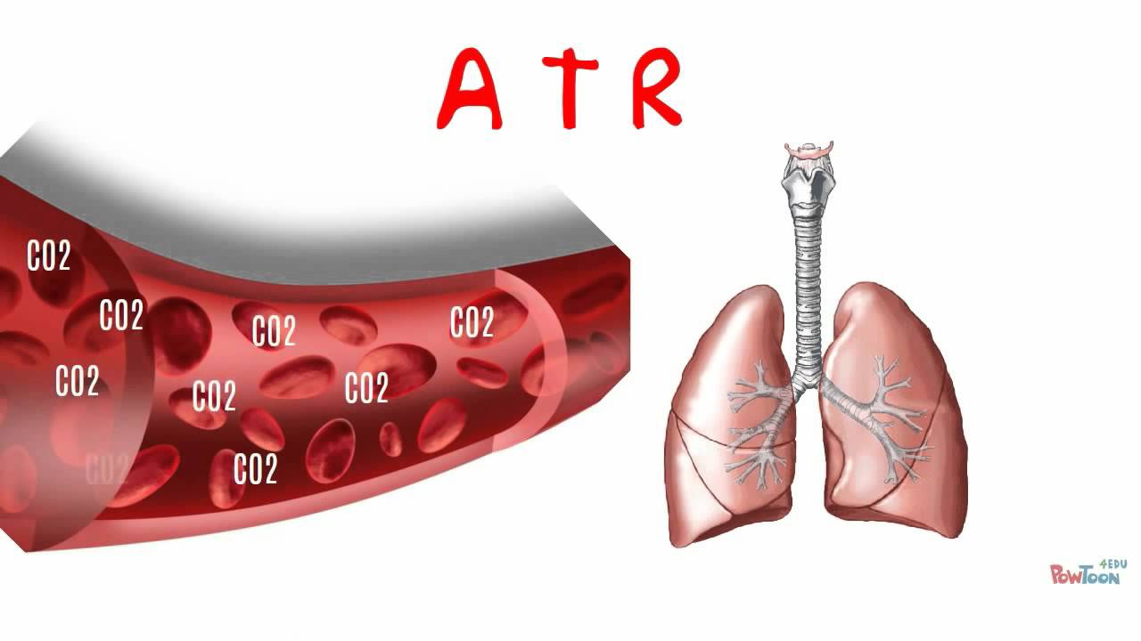 ¿Qué es Acidosis Tubular Renal?
