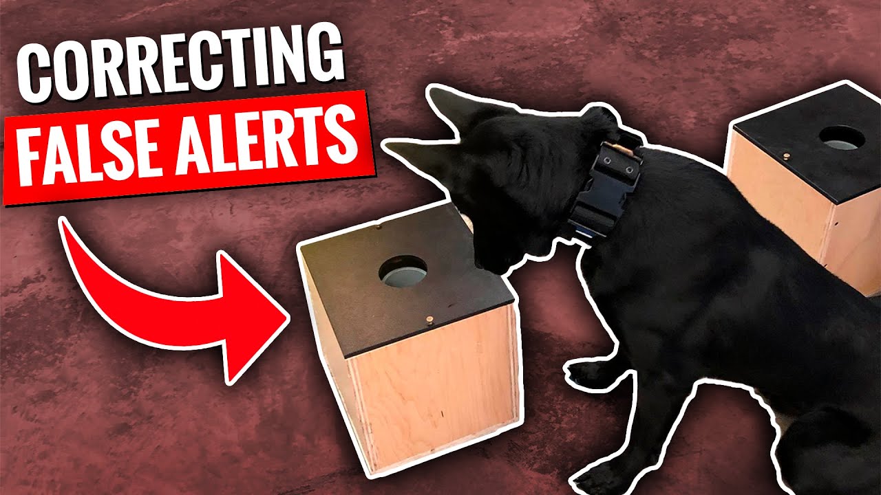 Исправление ложного оповещения.