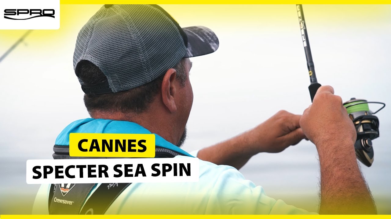 Specter Sea Spin, la Canne Parfaite pour le Bar !