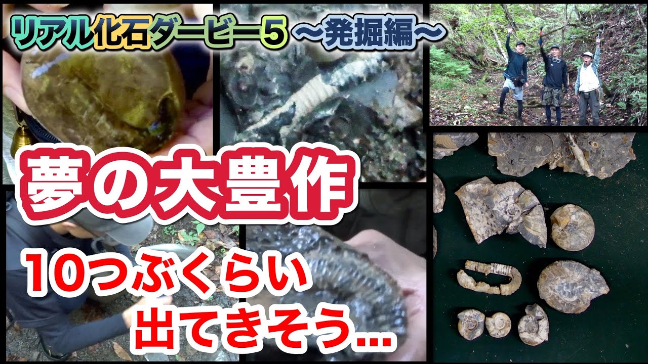 アンモナイト大豊作《発掘編》【恐竜化石発掘チャレンジin北海道 Part 9】