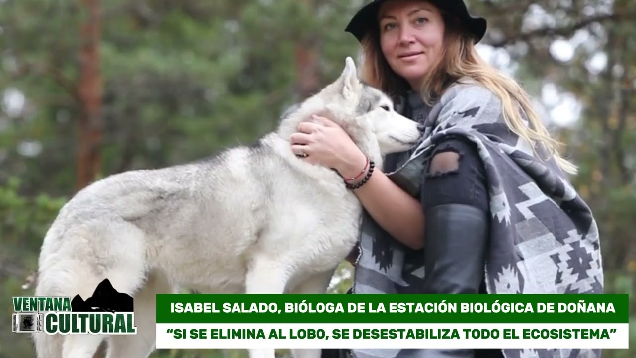 “SI SE ELIMINA AL LOBO, SE DESESTABILIZA TODO EL ECOSISTEMA”
