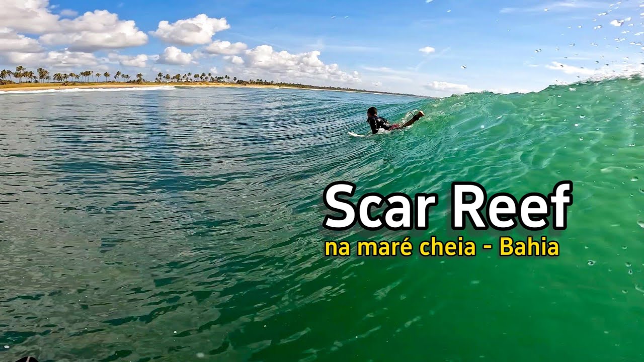 SCAR REEF na maré cheia - Bahia