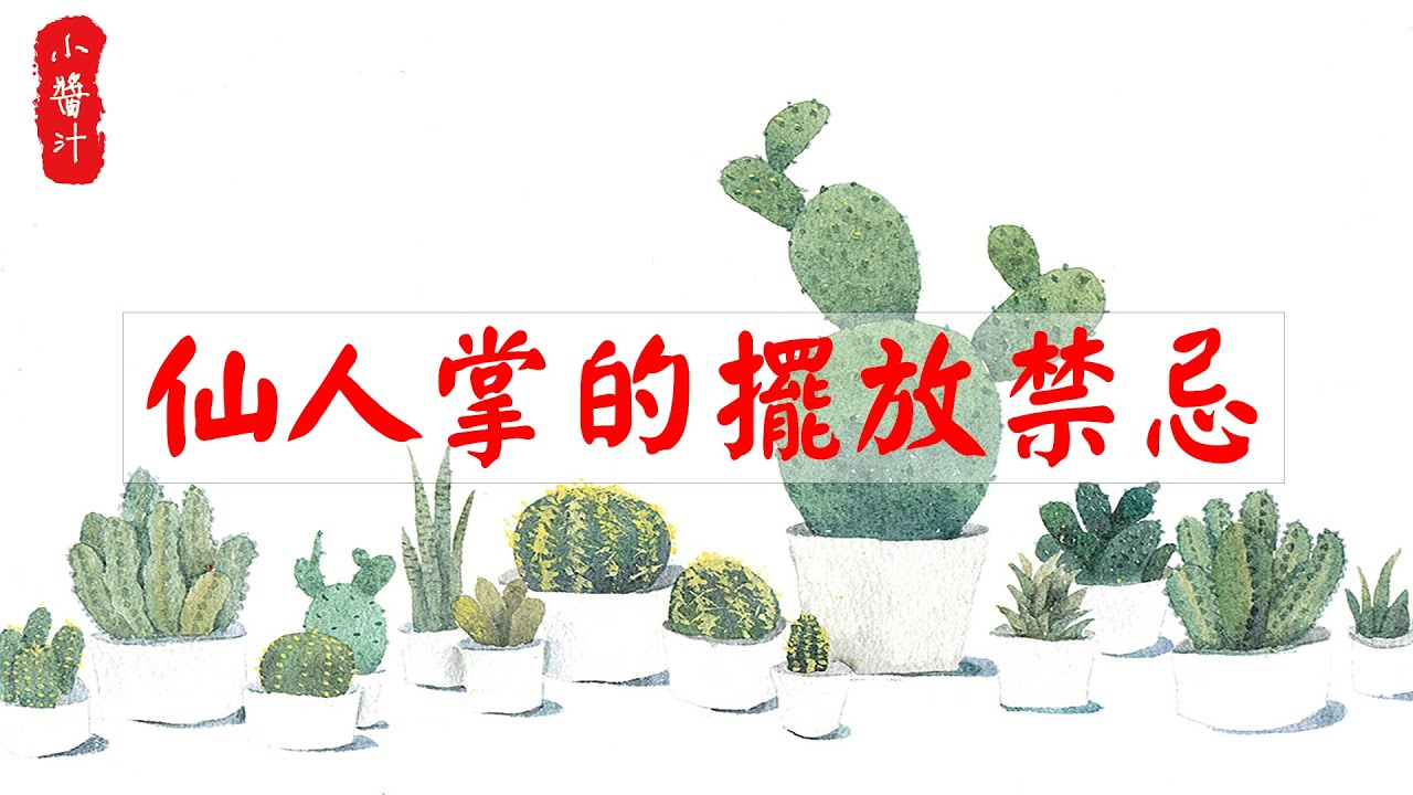 【植物風水】仙人掌別亂擺放，擺錯位置，小心招來血光之災