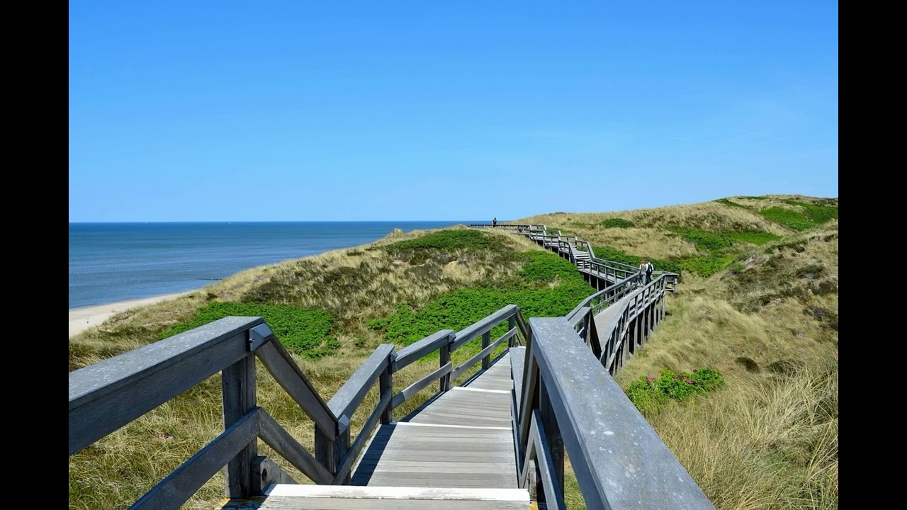 CALMING BEACH PIANO PLAYLIST✅✅✅✅✅