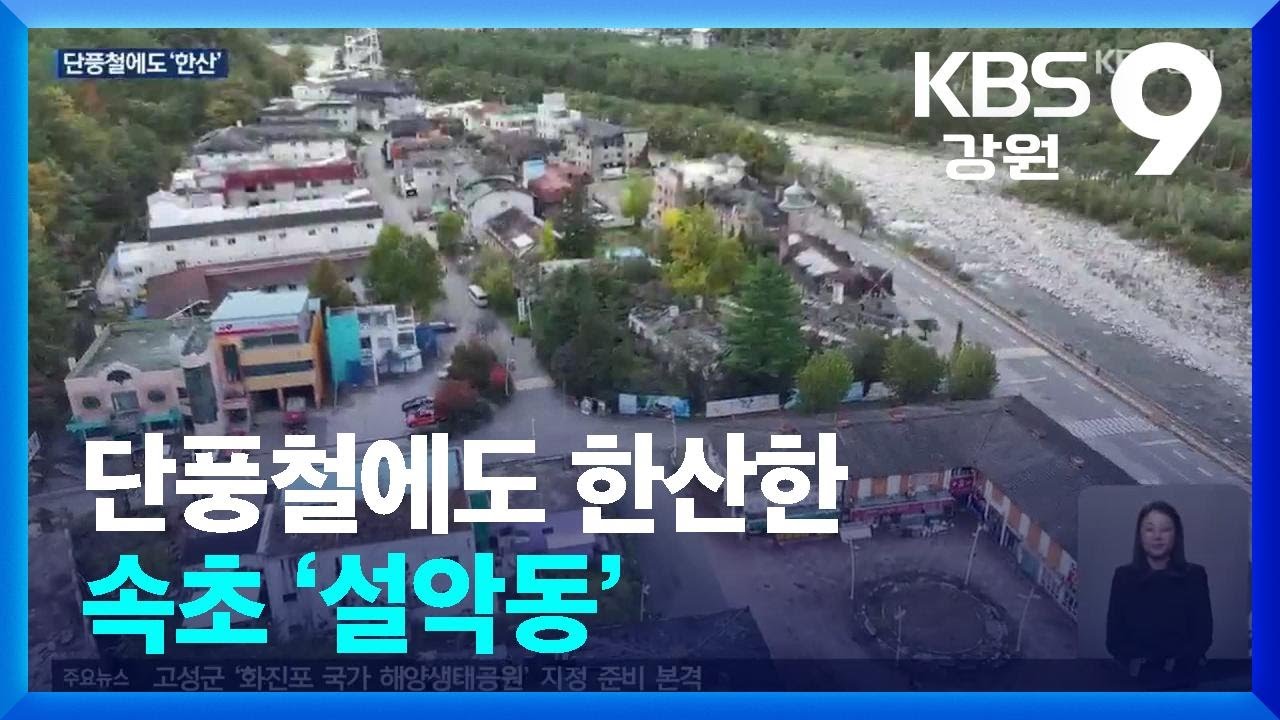 단풍철에도 한산한 속초 ‘설악동’ / KBS  2024.11.05.