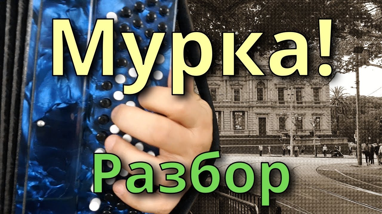 МУРКА - Разбор на Баяне