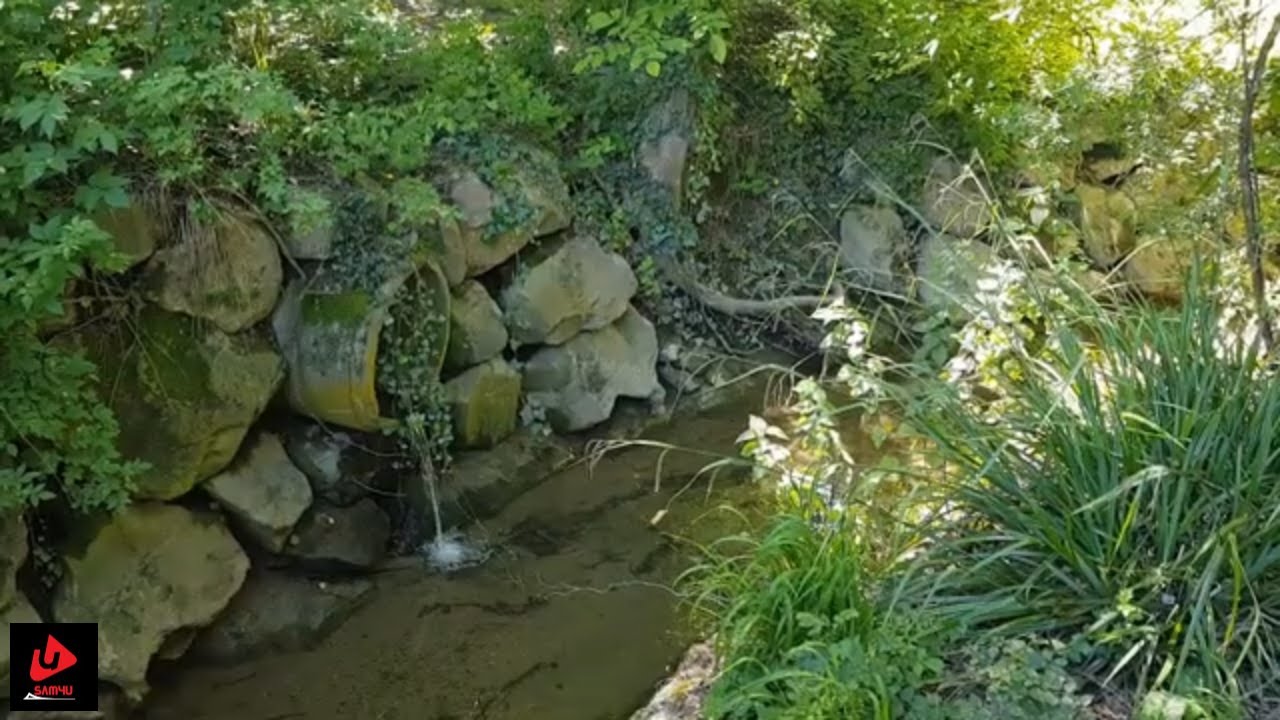 Relaxing Forest Waterfall Nature Sounds Birds Singing-Soothing Natural Sound of Water Relaxation