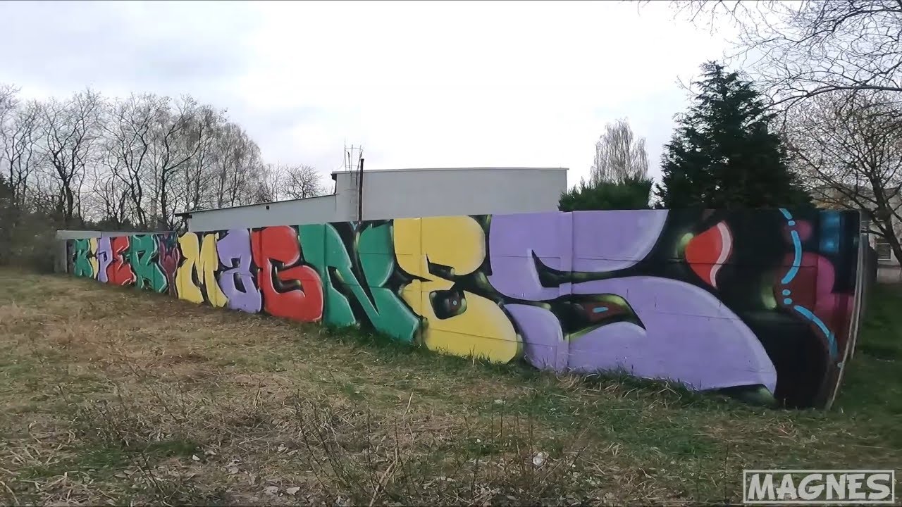 Railway Line Graffiti with Riper #graffiti #graffiti2022 #subscribe
