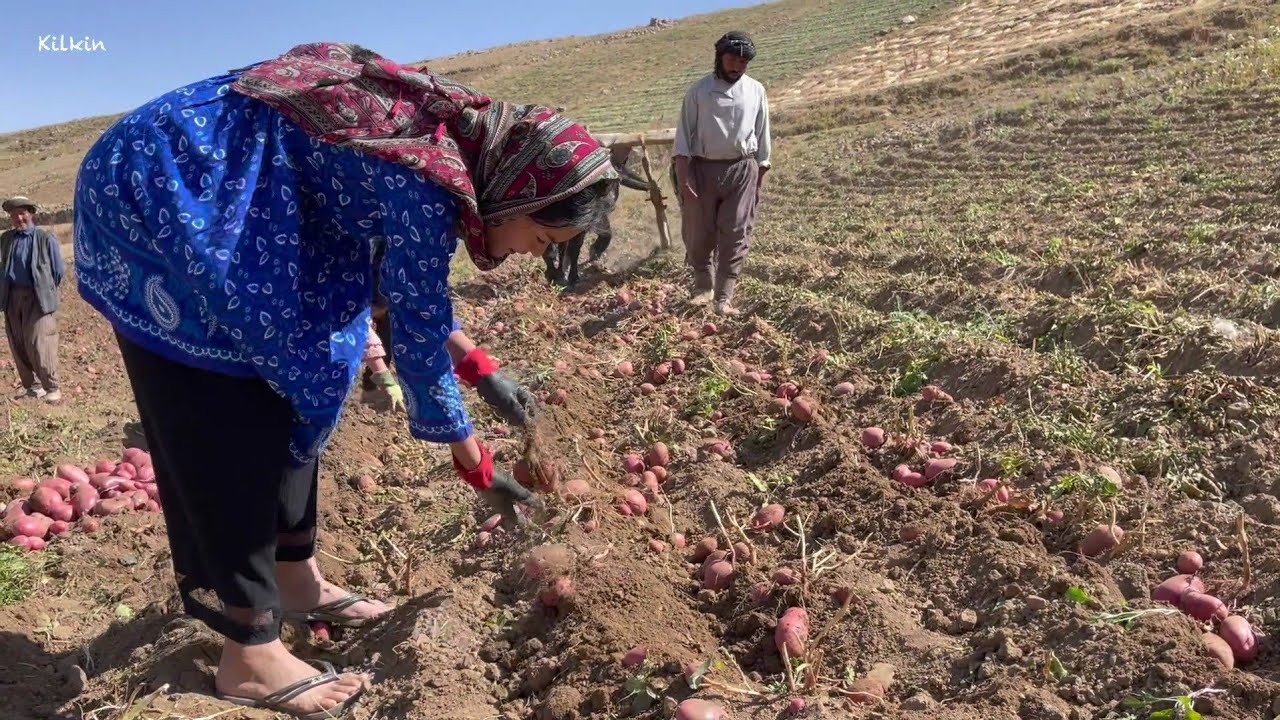 Rural girls and the collective work of villagers