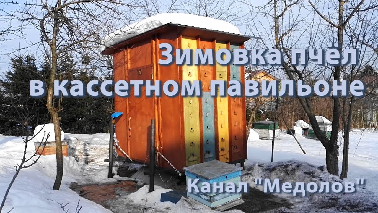 Зимовка пчел в кассетном павильоне