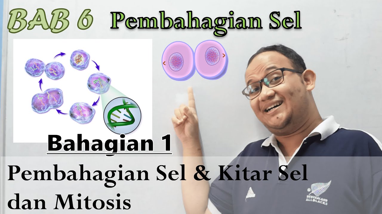 KSSM Bio Ting. 4 - Bab 6 - Pembahagian Sel (Part 1: Kitar Sel dan Mitosis)