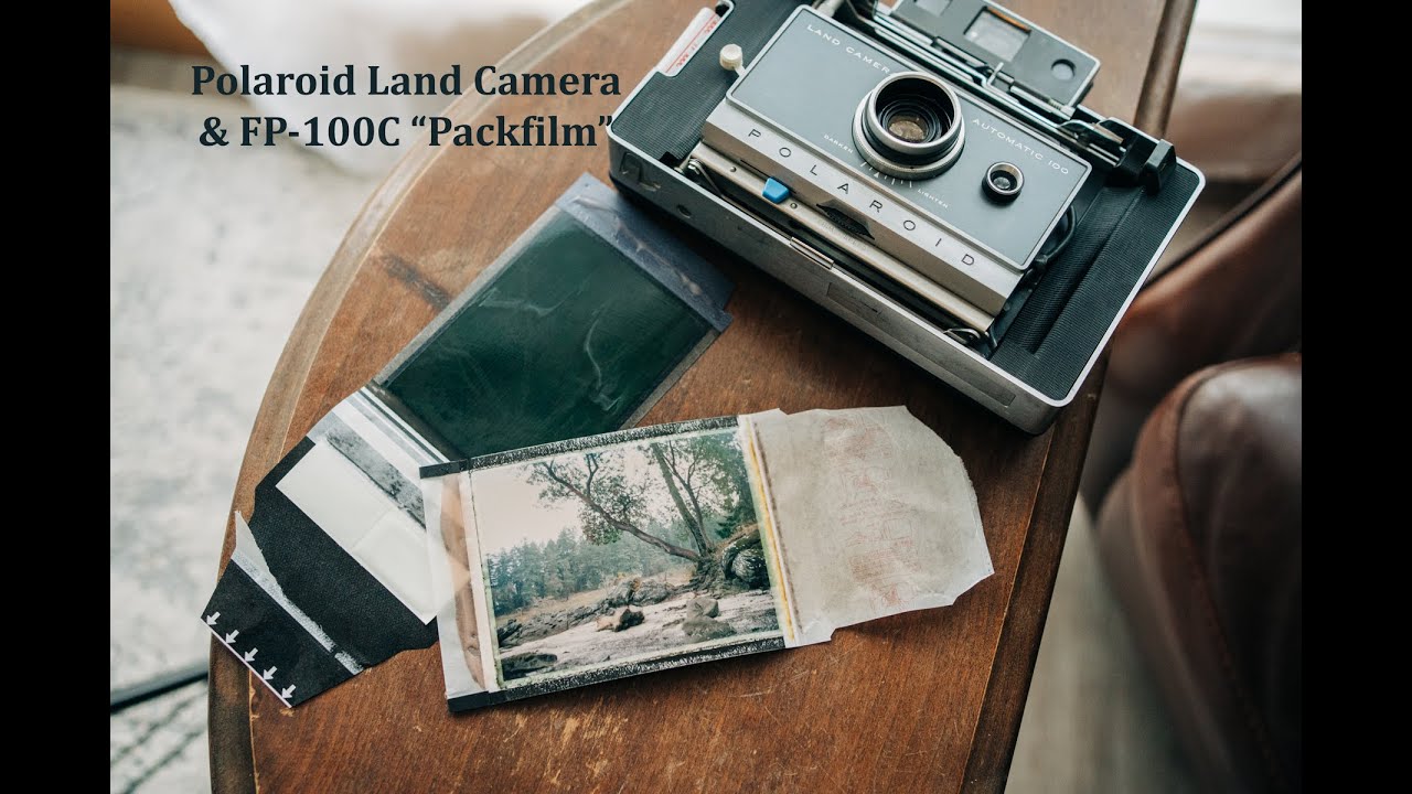 Shooting with a Polaroid Land Camera and Packfilm (Part 2)