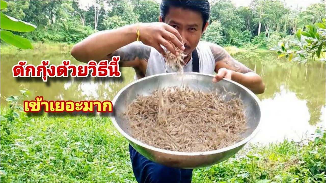ดักกุ้งด้วยวิธีนี้...เข้าเยอะมาก 