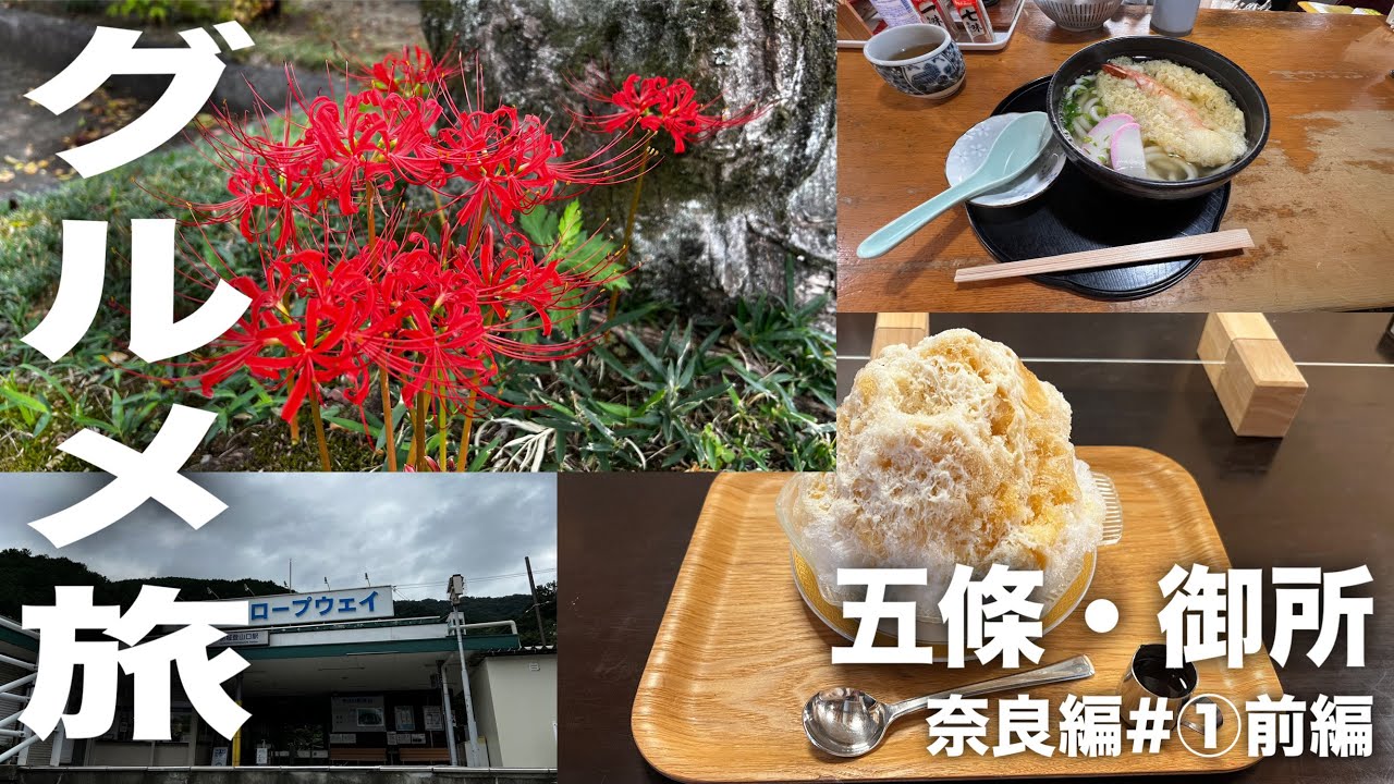 奈良県五條市の新町通りをぶらり旅　無職旅#奈良編①前編