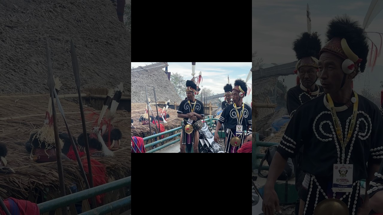 Episode 9: Festival of Tribes 🔥     #solotravel #incredibleindia #northeastindia #hornbillfestival