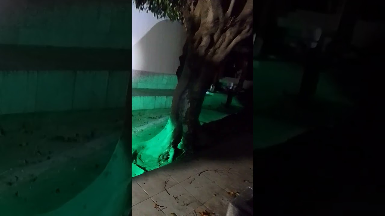 Otra parte de la investigación del panteón de puente grande 