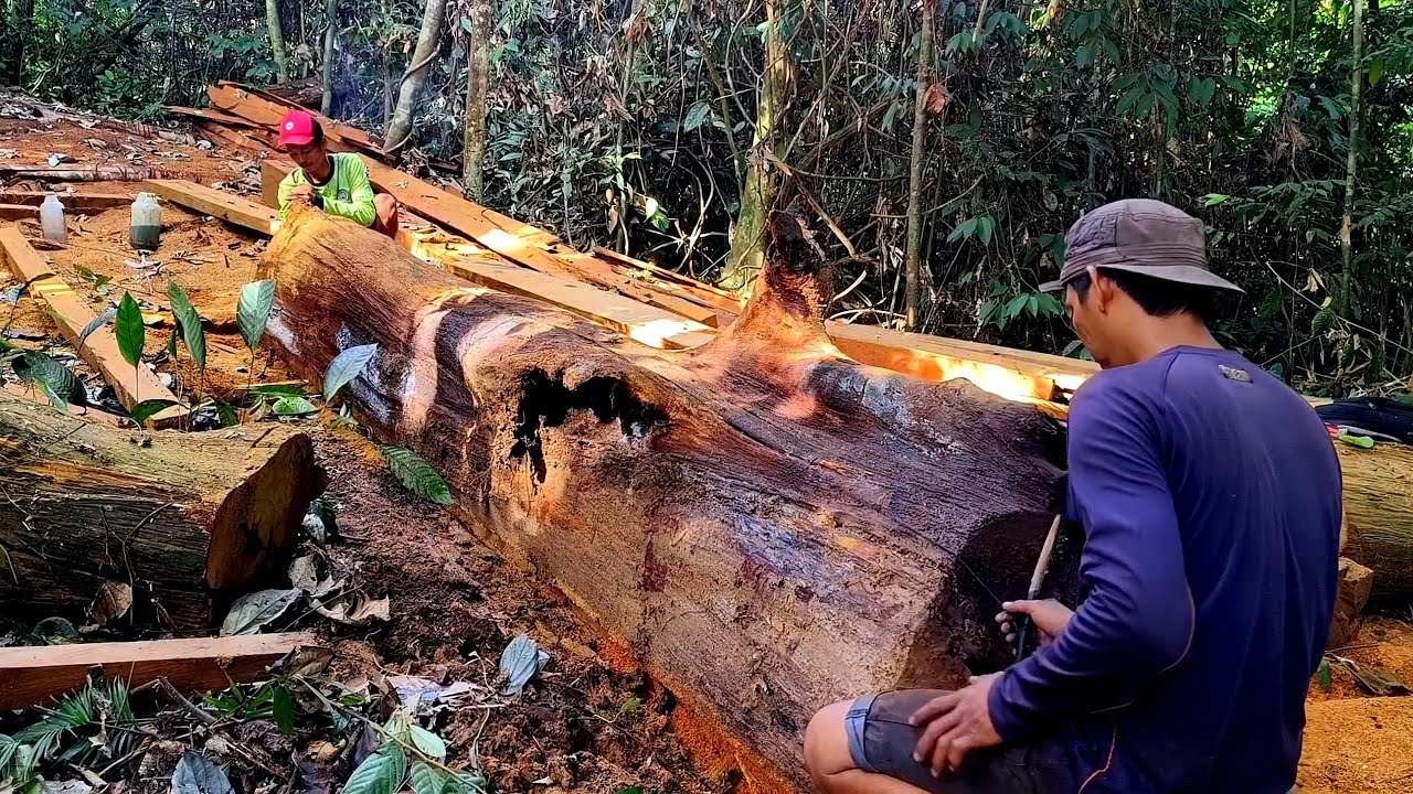Kayu ulin sperti emas..!! Kayu terbaik yg kami temukan, 