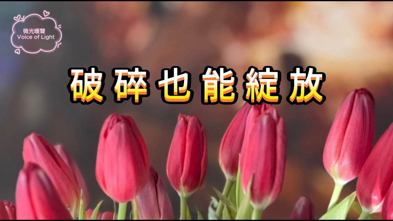 破碎也能綻放 @微光暖聲 [Voice of Light]