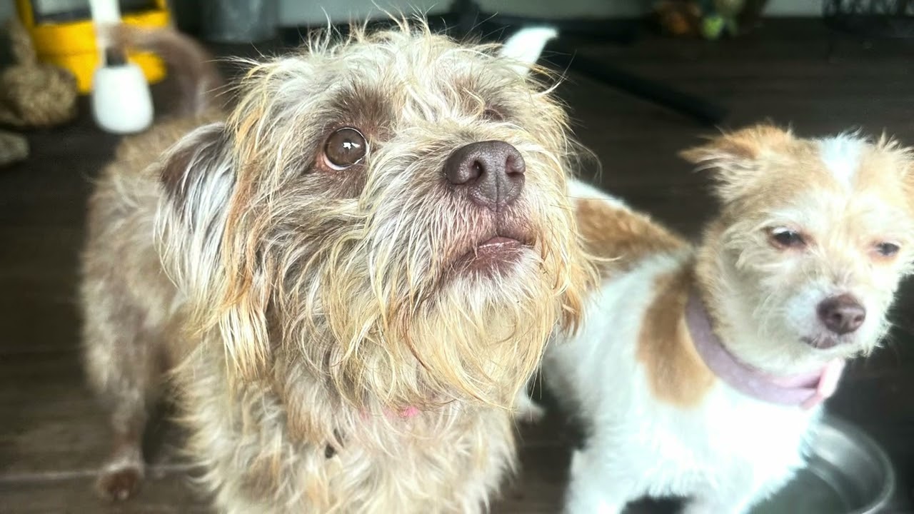 Ellie Mae
