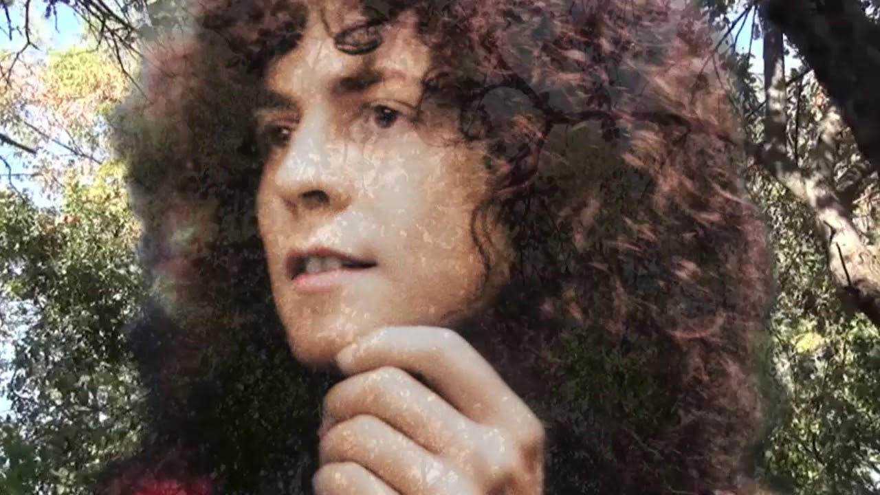 Tyrannosaurus Rex. Marc Bolan and  Steve Peregrin Took. Blessed Wild Apple Girl