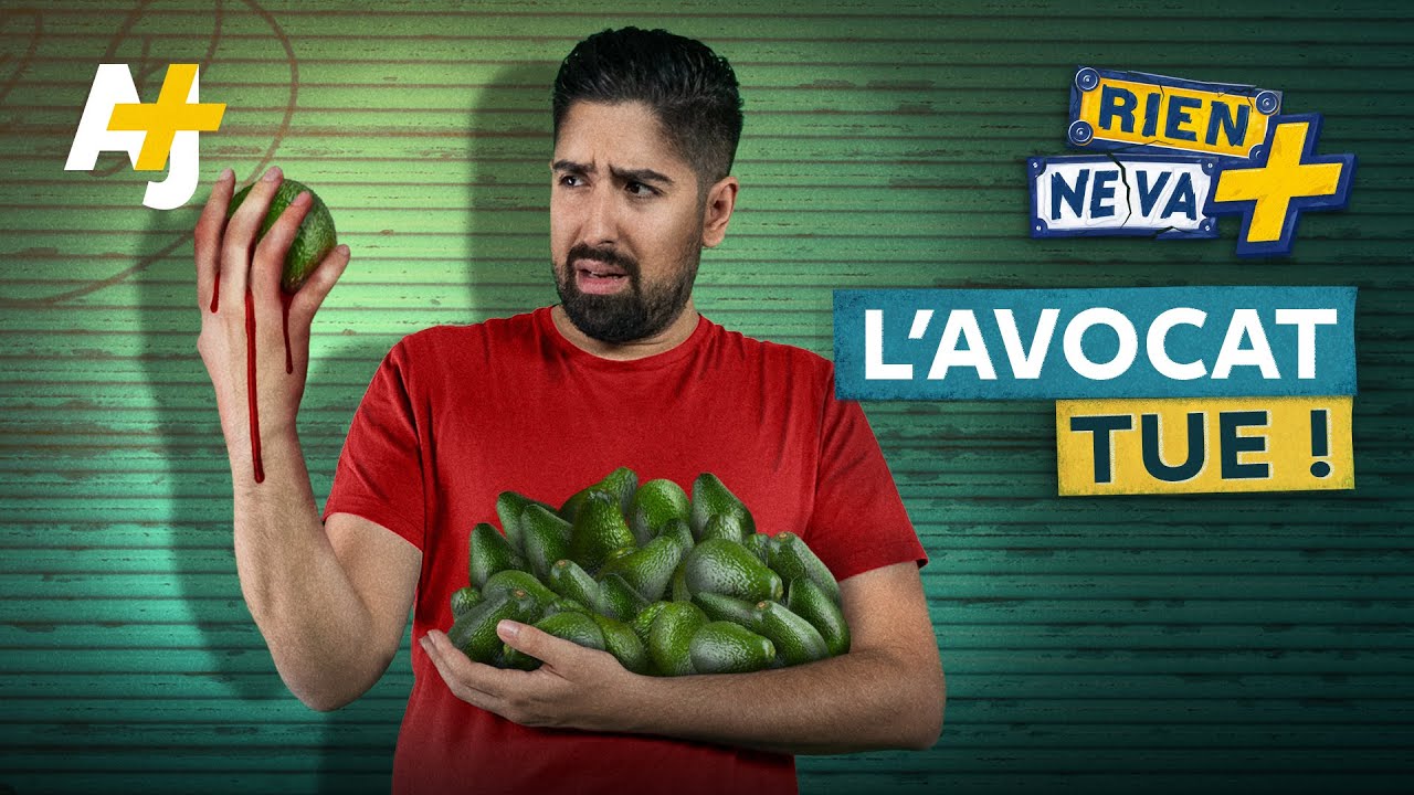 CE QUE VOUS IGNOREZ SUR L'AVOCAT | RIEN NE VA +