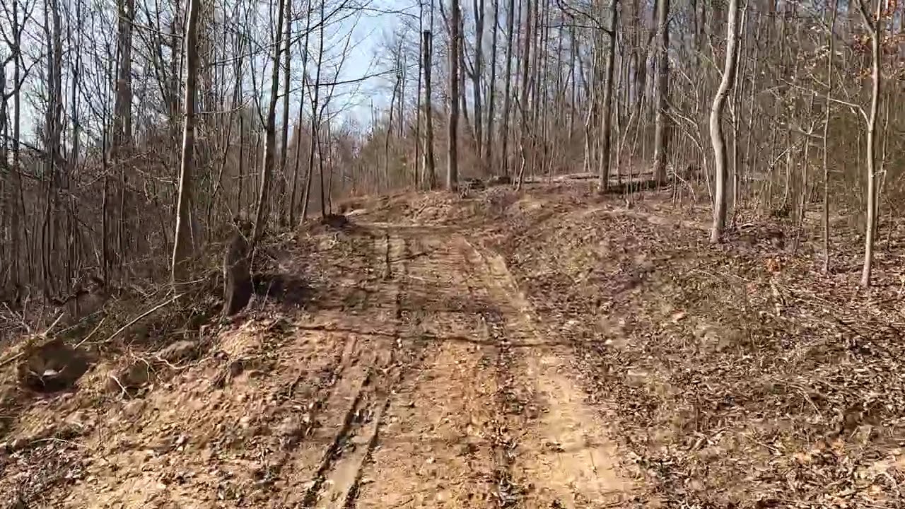 Wolfe County Kentucky hunting tract for sale 98 acres Big deer, bear, turkey and bobcats