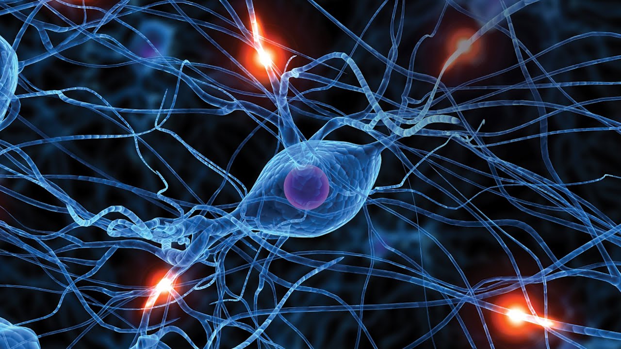 Research collaboration to advance innovative solutions for patients with neurological diseases