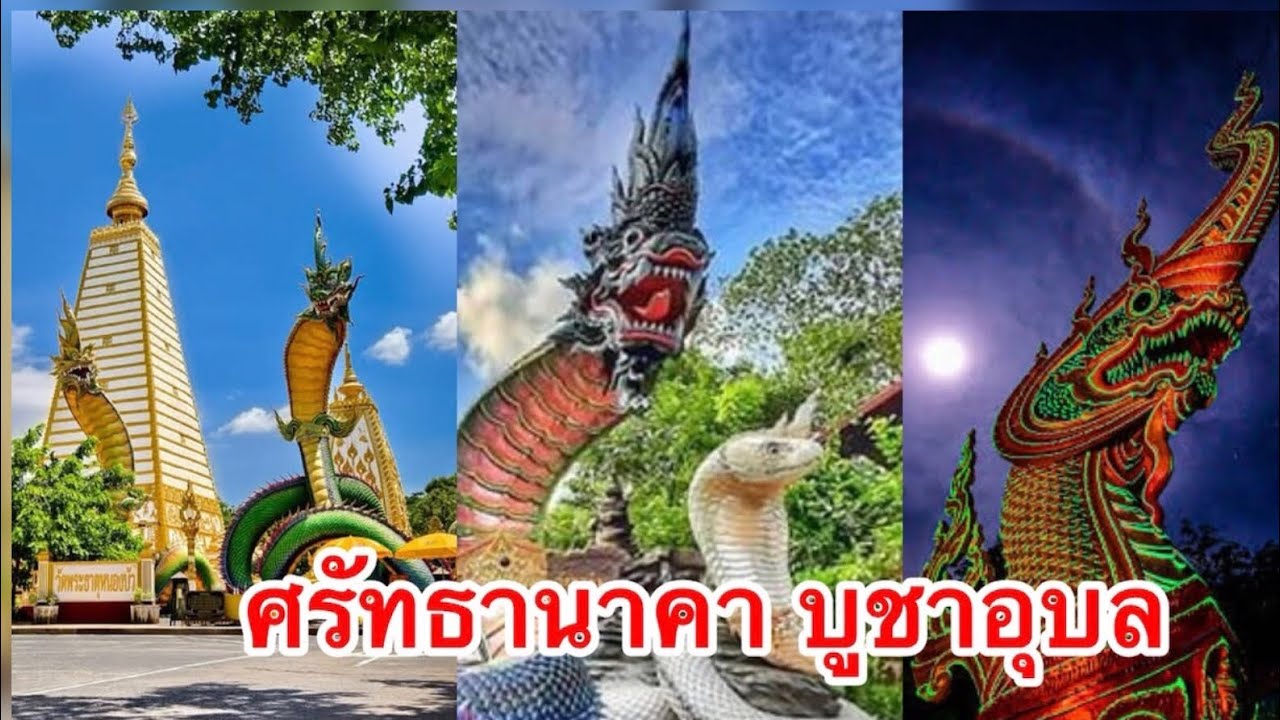 ศรัทธานาคาบูชา อุบลราชธานี   
