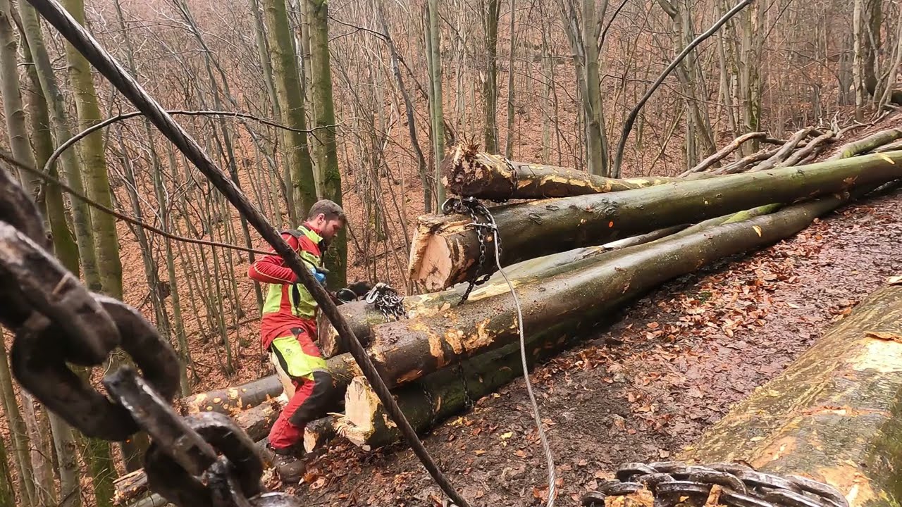Prvá ťažba v novom roku a hneď nám aj začalo pršať. Ťažba s Eliškou hore do kopca.LKT MAN a stihl ms