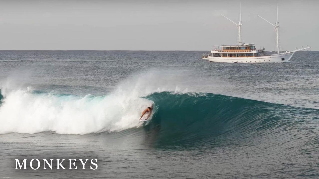 Surfing Mentawai | Monkeys