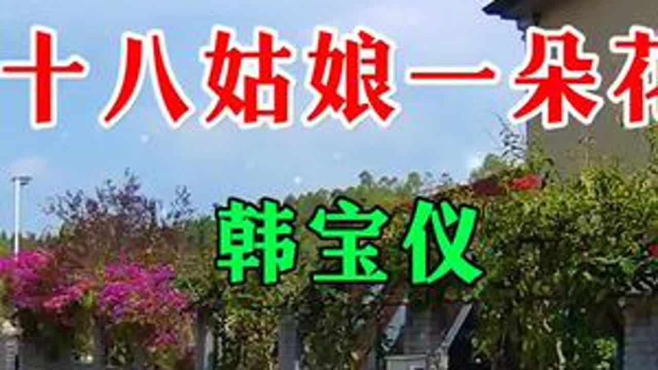#韩宝仪《姑娘十八一朵花》#村道随拍