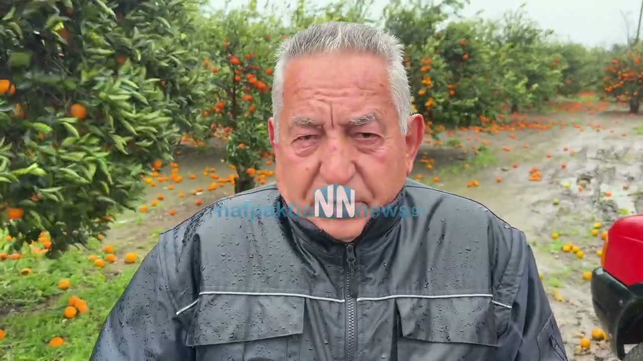 οι άνεμοι κατέστρεψαν περιβόλια με μανταρίνια και πορτοκάλια στο Ευηνοχωρι 