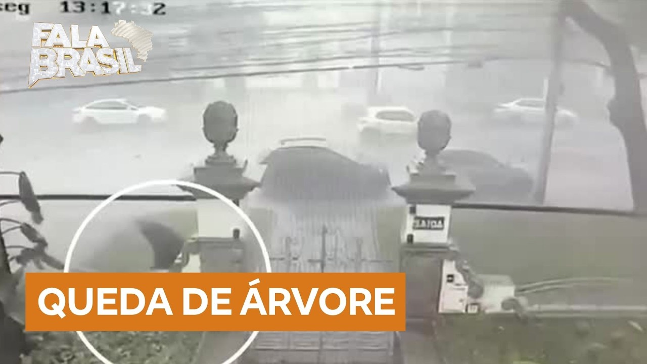 Pedestre escapa de ser atingido por árvore que caiu durante temporal em BH