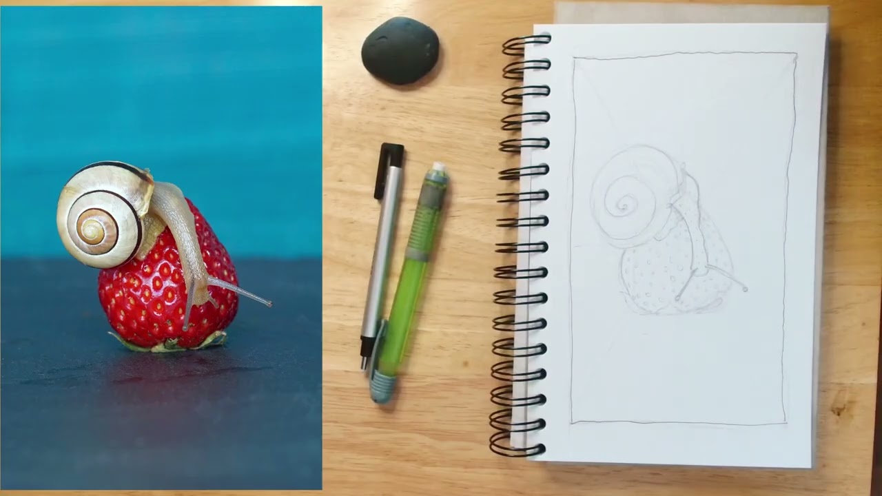 Let's Draw Together 06: Snail on the Strawberry. Lo Fi jams, drawing, company, background music,