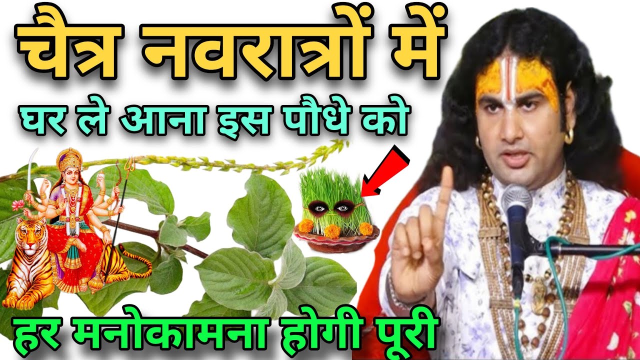 चैत्र नवरात्रों में 😱 घर ले आना इस पौधे को, हर मनोकामना होगी पूरे, पैसा खींचता है #aniruddhacharyaji