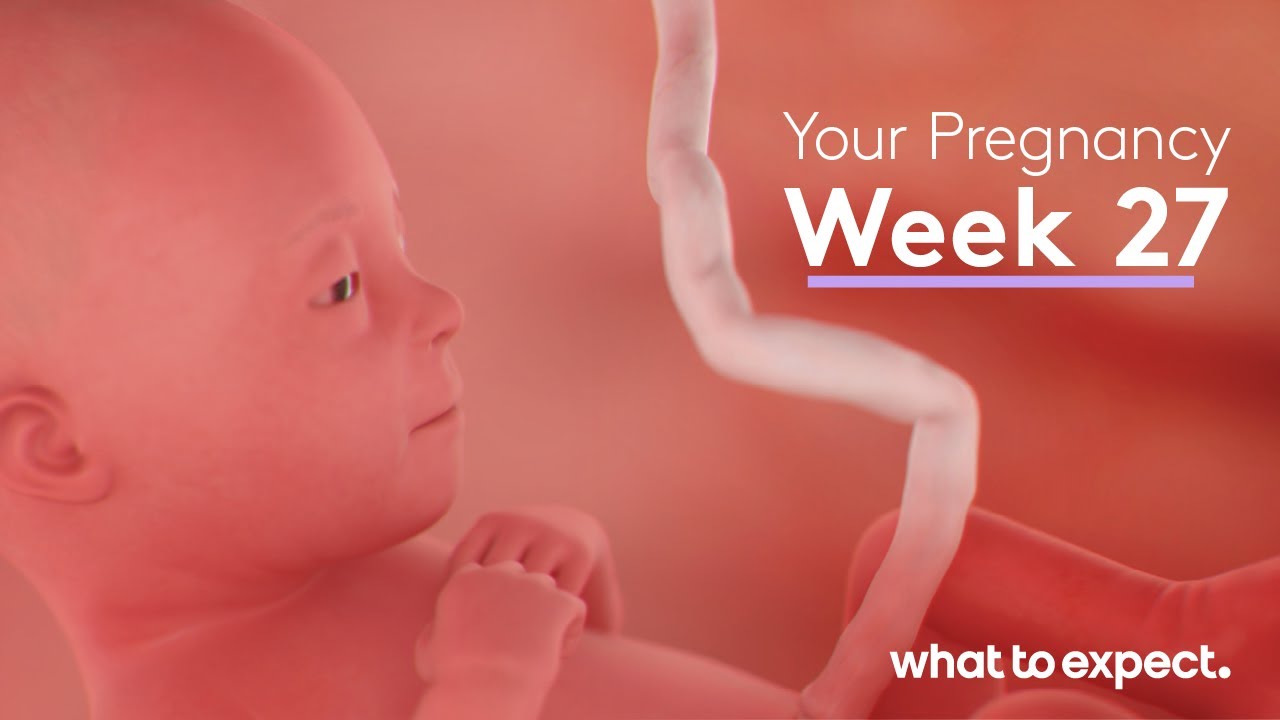 27 Weeks Pregnant - What to Expect