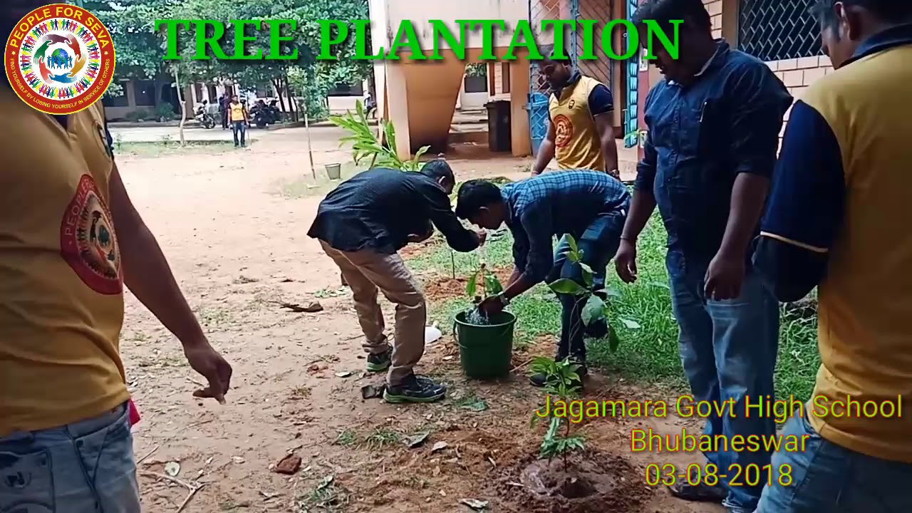 03-08-2018 , Plantations Jagamara High school