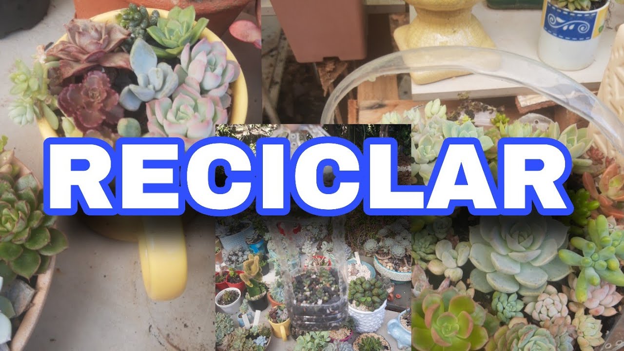 Dia mundial da reciclagem!@valdirenelima257