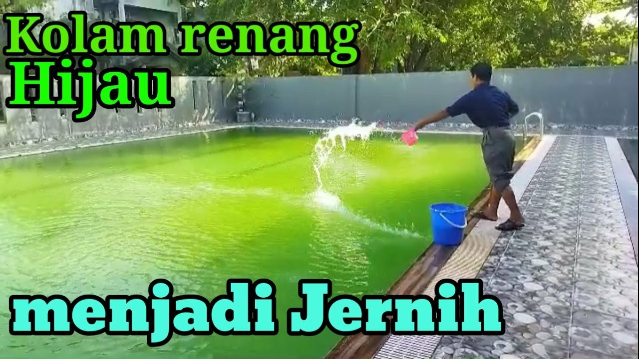 Cara agar  kolam renang selalu jernih || Rahasia kolam renang selalu jernih air nya