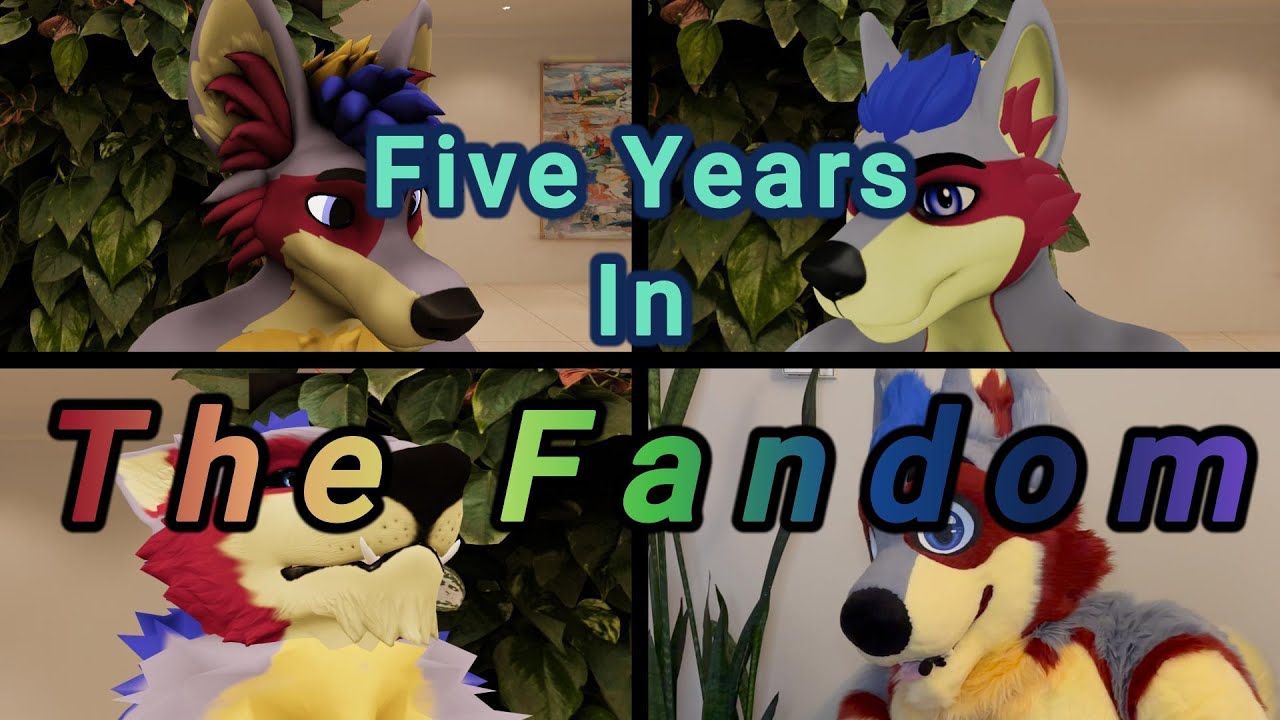 Five Years In The Fandom