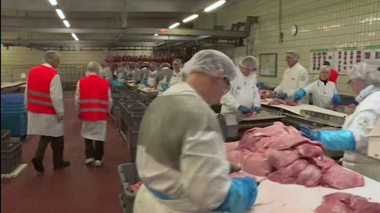 Le jambon, enquête sur la phase inquiétante de sa fabrication