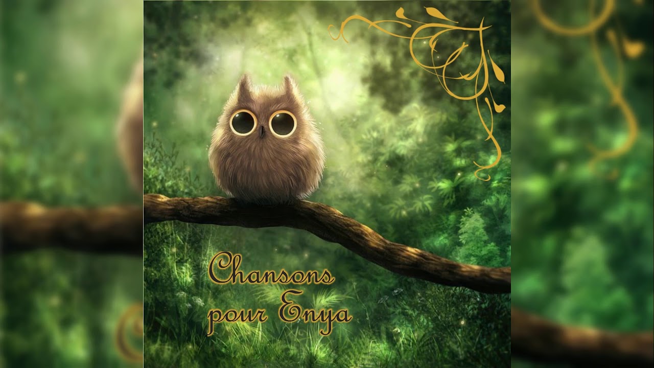 Hôtel des Trois-Canards