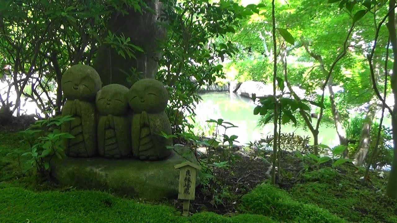 Hase-dera Temple, Walking Path of Hydrangea in Kamakura/長谷寺(八仙花的散步路), 鐮倉/#18