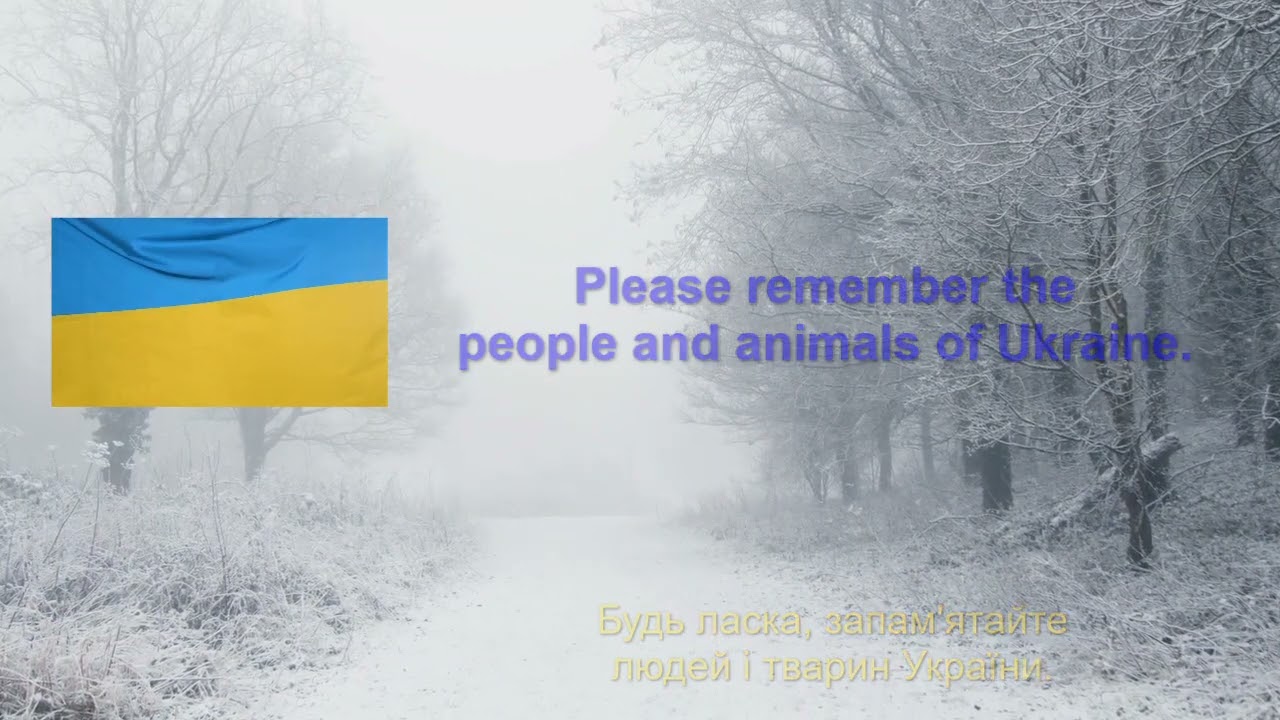 Please Remember People & Animals of Ukraine this Winter
