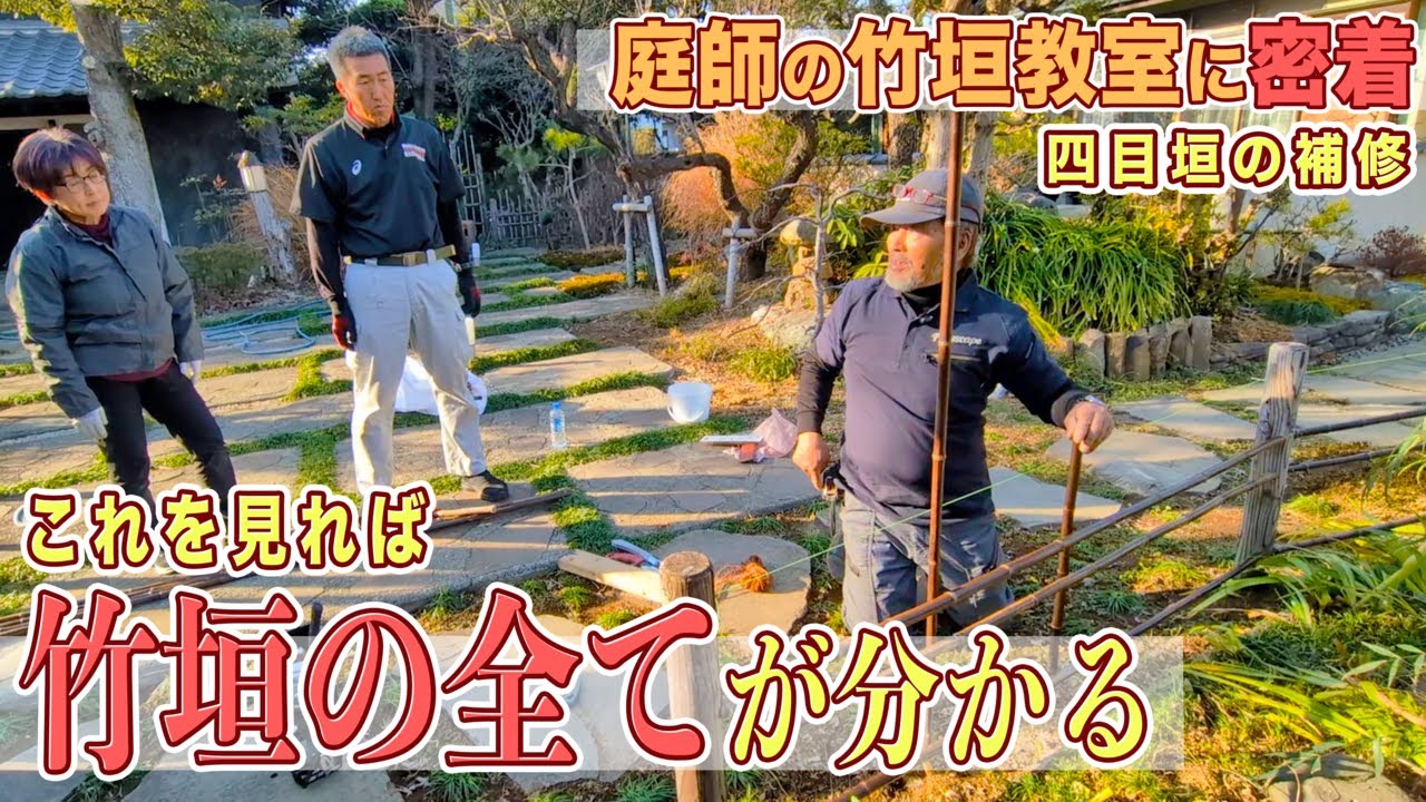 【現場密着】プロが教える四目垣補修。竹垣の魅力から作り方まで徹底解説！【庭作り・日本庭園】