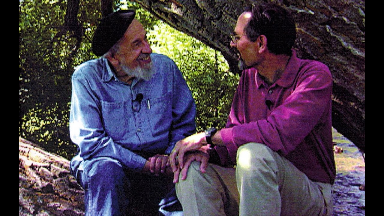Raising the Sparks: A Personal Search for a Spiritual Home in Judaism (2001)
