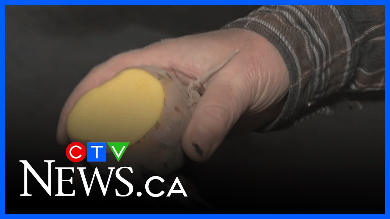 Residents and produce stranded on Westham Island