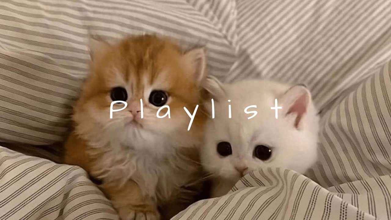 𝐏𝐥𝐚𝐲𝐥𝐢𝐬𝐭 릴스 넘기다 멈칫하게 만든 그 느낌 좋은 노래 🤍🎧 | rnb hiphop · chill vibe