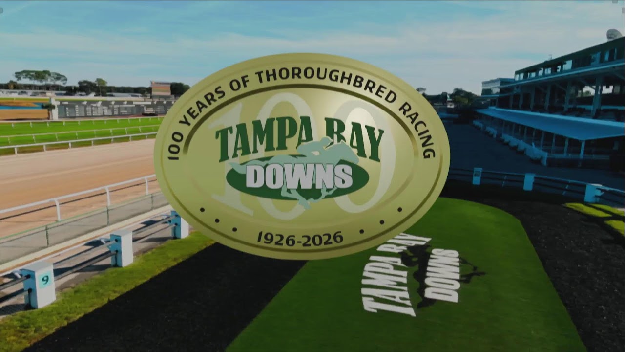Tampa Bay Downs Live Stream